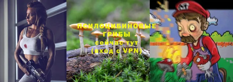 Галлюциногенные грибы Magic Shrooms  наркотики  MEGA tor  Мурино 